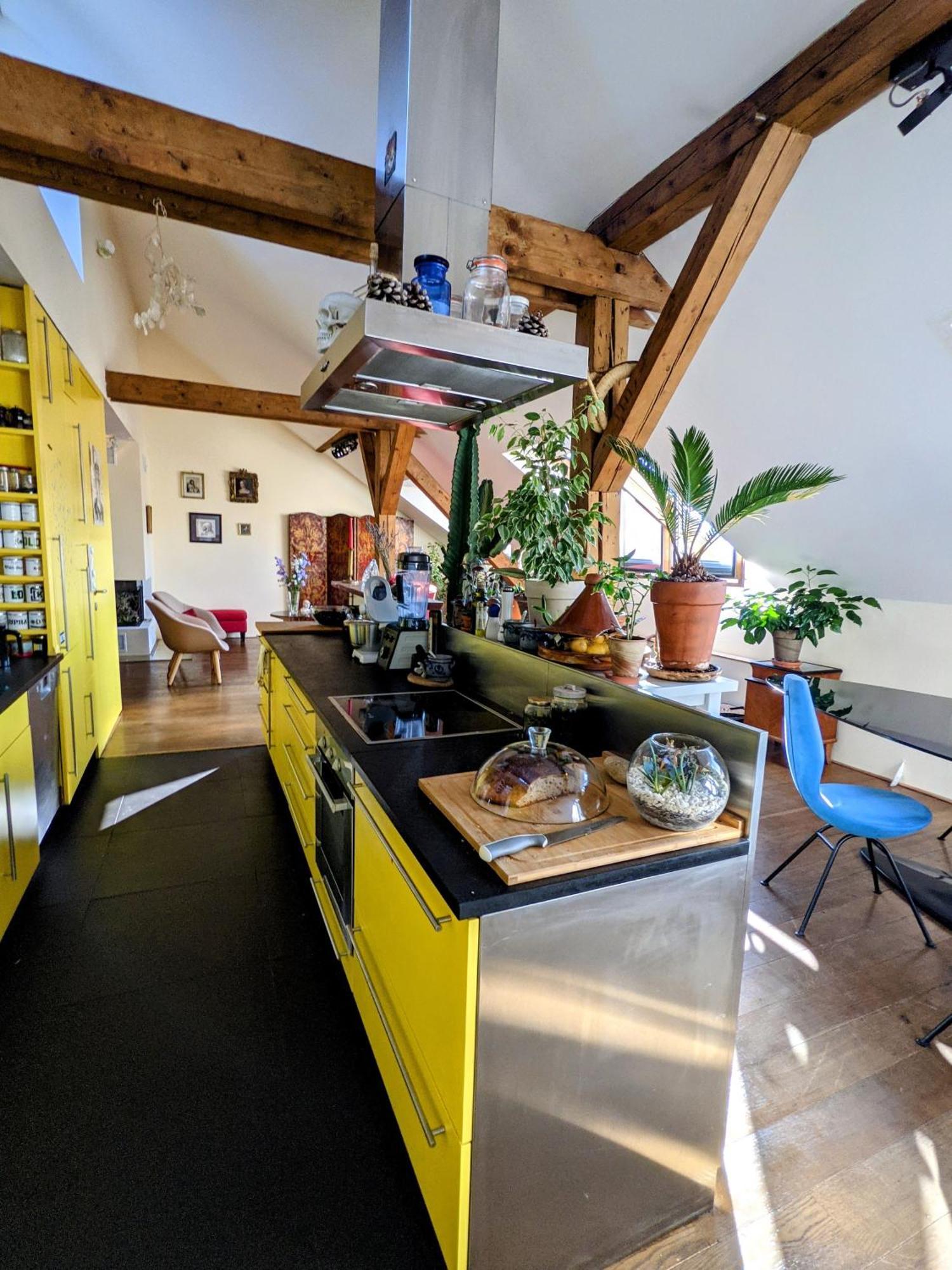 Penzion Guestrooms, Rooftop With Garden, Spacious Living Room, Character And Fireplace
